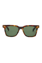 Ryan Sunnies